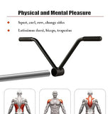 Landmine V T-Bar Row Handle