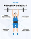 Weight Lifting Belt