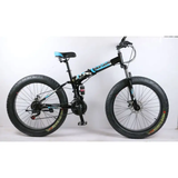 Foldable Outdoor Bicycle (Big Tyre)