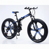 Foldable Outdoor Bicycle (Big Tyre - Alloy Wheel)