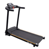 2HP Treadmill Exercise Machine